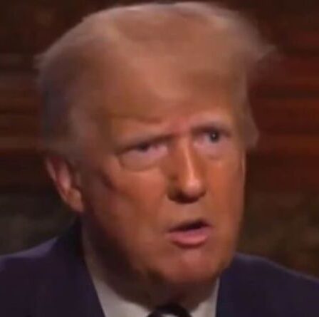 Donald Trump s'en prend à la politique frontalière de Biden alors que la migration atteint `` le plus haut depuis 20 ans ''