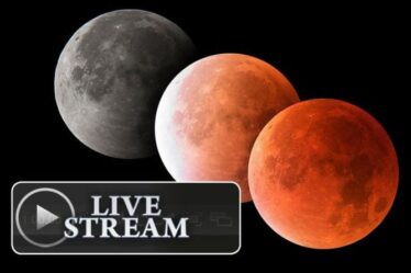 Eclipse 2021 LIVE Stream: Comment regarder l'éclipse de la Super Flower Blood Moon en ligne