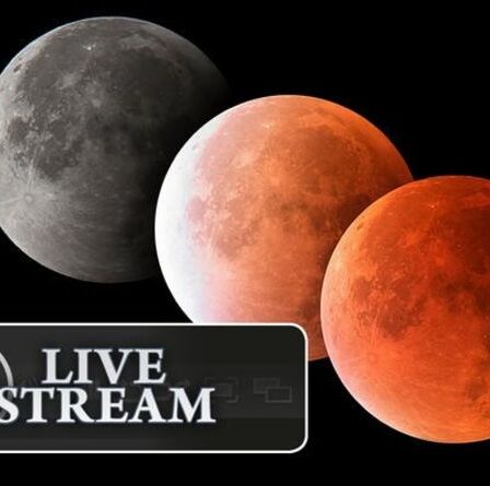 Eclipse 2021 LIVE Stream: Comment regarder l'éclipse de la Super Flower Blood Moon en ligne