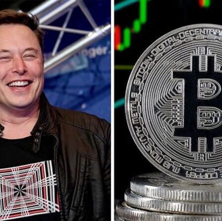 Elon Musk critiqué pour la taquinerie `` Doge-for-Tesla '': `` Début de fin pour Bitcoin ''