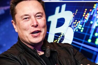 Elon Musk déclenche une flambée de Bitcoin avec un mouvement environnemental - `` Veut être un sauveur de crypto! ''