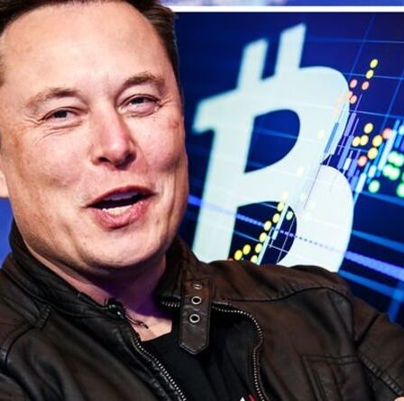 Elon Musk déclenche une flambée de Bitcoin avec un mouvement environnemental - `` Veut être un sauveur de crypto! ''