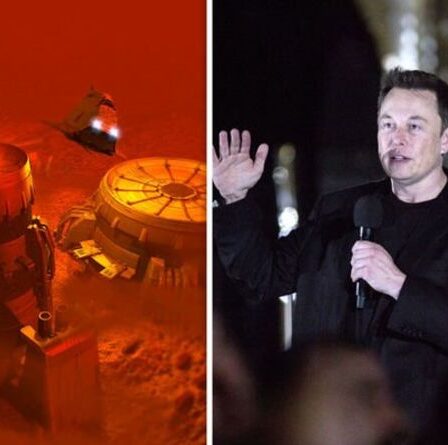 Elon Musk dit que l'humanité doit se rendre sur Mars `` maintenant '' ou risquer l'extinction