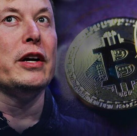 Elon Musk `` en danger de réaction violente du régulateur américain après les tweets Bitcoin ''