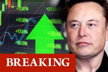 Elon Musk fait un U-TURN dramatique sur la crypto-monnaie - un tweet cryptique fait voler les actions
