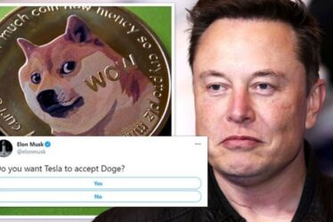 Elon Musk laisse entendre que Tesla pourrait accepter Doge comme paiement - Le PDG demande aux abonnés s'ils reculent
