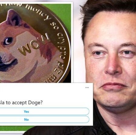 Elon Musk laisse entendre que Tesla pourrait accepter Doge comme paiement - Le PDG demande aux abonnés s'ils reculent