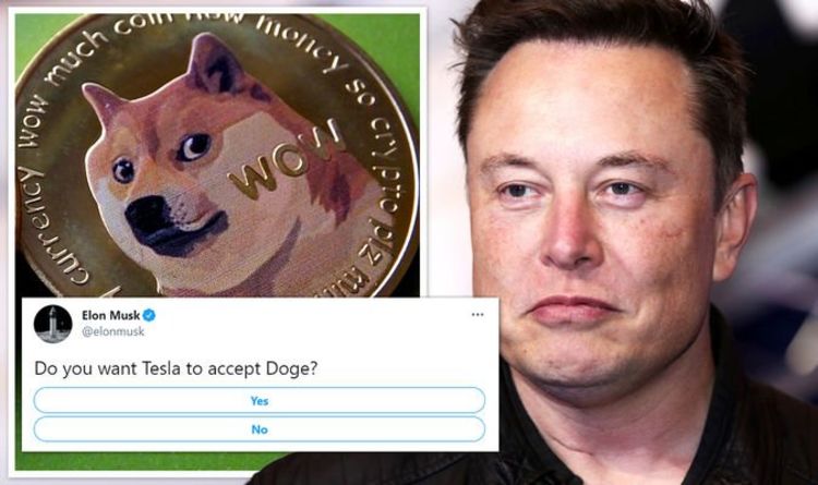Elon Musk laisse entendre que Tesla pourrait accepter Doge comme paiement - Le PDG demande aux abonnés s'ils reculent