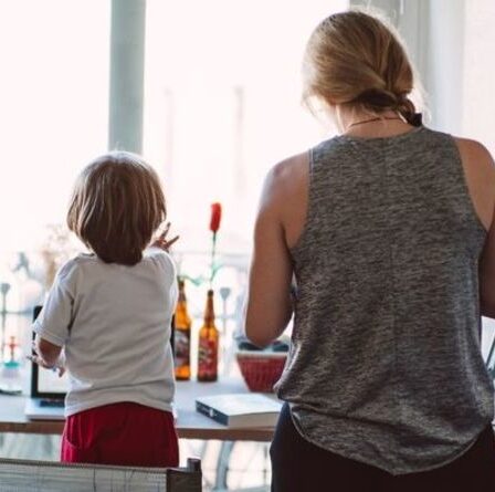 Entretien des enfants: victoire obtenue pour une mère célibataire qui gagne 15000 £ - «résultat merveilleux!
