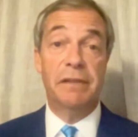 Farage fait irruption en Chine pour avoir `` dissimulé '' une fuite de laboratoire `` Laissez les gens voler partout dans le monde ''