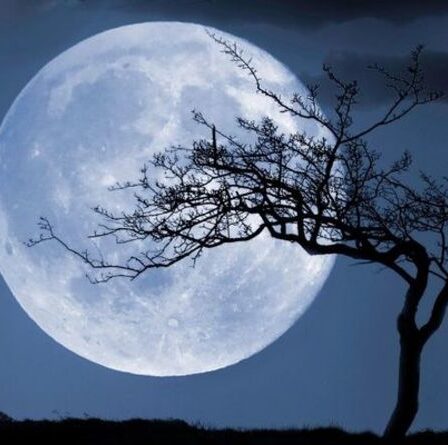 Flower Moon 2021: Combien de Pleines Lunes y a-t-il par an?