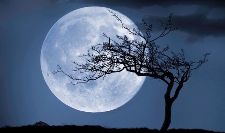 Flower Moon 2021: Combien de Pleines Lunes y a-t-il par an?