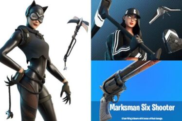 Fuites de la mise à jour 16.40 de Fortnite: nouveaux skins, Catwoman, POI caché, six shooter, LTM