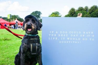 Glastonbury pour chiens: donnez à votre animal quelque chose à aboyer à Dogstival 2021