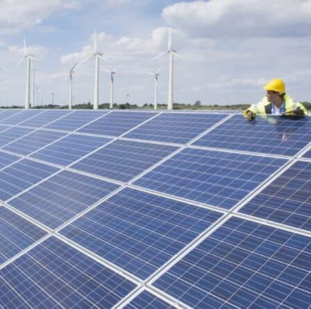 Grande-Bretagne verte: la campagne visant à supprimer la TVA sur les produits respectueux du climat remporte un fort soutien