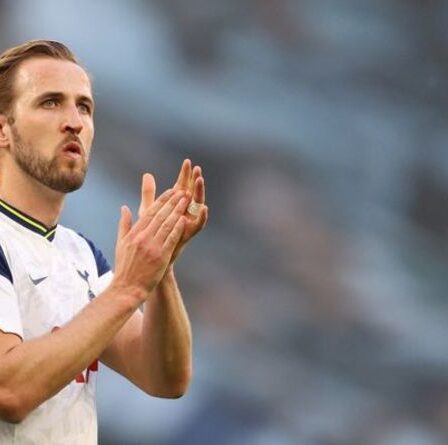 Harry Kane dit que ce serait un `` rêve '' de jouer aux côtés de la star de Manchester City