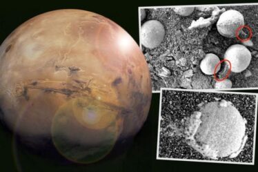 `` Il y a de la vie sur Mars '' Une étude bizarre affirme que des champignons extraterrestres poussent sur la planète rouge