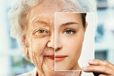 Inversion d'âge: les scientifiques `` à l'aube '' de percées pour `` remonter le temps '' et vivre jusqu'à 180 ans