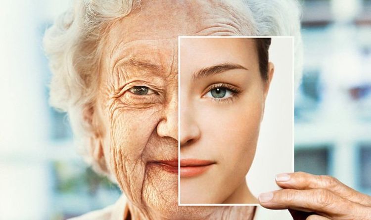 Inversion d'âge: les scientifiques `` à l'aube '' de percées pour `` remonter le temps '' et vivre jusqu'à 180 ans