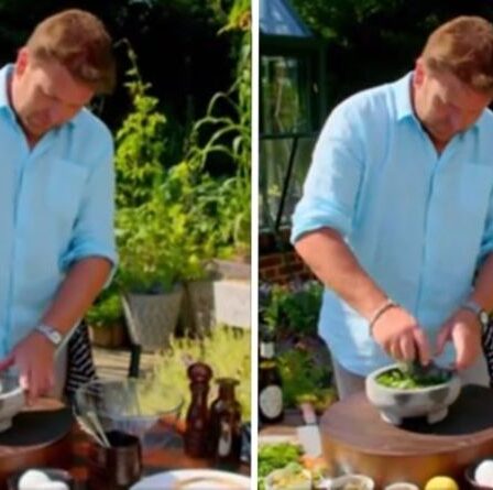 James Martin: Le chef prépare une `` délicieuse '' salade d'été et salsa pour accompagner votre barbecue ce week-end