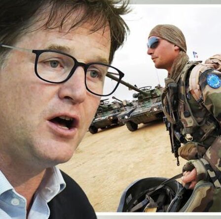 J'espère que Nick Clegg vous écoute!  L'armée de l'UE enverra des troupes militaires en mission `` d'ici quelques mois ''