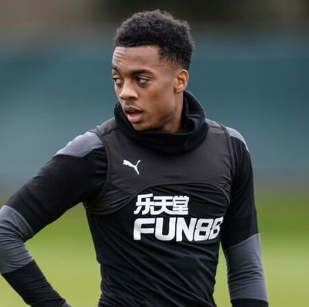 Joe Willock a exhorté à quitter Arsenal et à sceller le transfert de Newcastle alors qu'Alan Shearer fait une offre