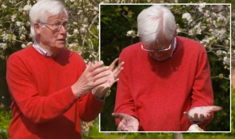 John Craven de Countryfile dans un accident de jardinage: «Je ne sais pas pourquoi on l'appelle doigts verts!
