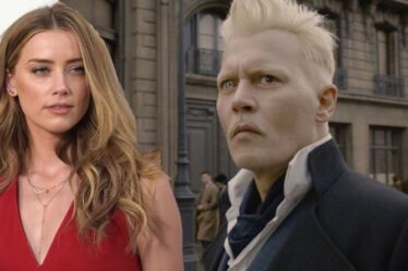 Johnny Depp: Amber Heard `` cherche à rejoindre la série Harry Potter après la sortie de son ex-mari ''