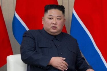Kim Jong-un ordonne `` l'élimination '' des chats et des pigeons pour tuer Covid