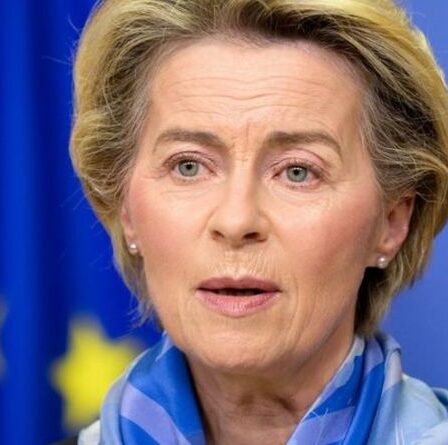 L'UE au bord du gouffre: le `` deuil '' de la Suède pour le Royaume-Uni après le Brexit `` pourrait rapidement se transformer '' en divorce