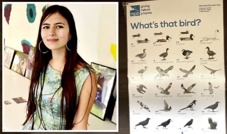 La RSPB obligée de changer les affiches d'oiseaux après s'être plaintes de `` sexistes ''