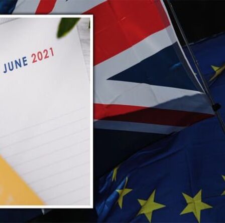 La date limite de candidature au programme de règlement de l'UE tombe le mois prochain - Comment sécuriser l'accès à la pension