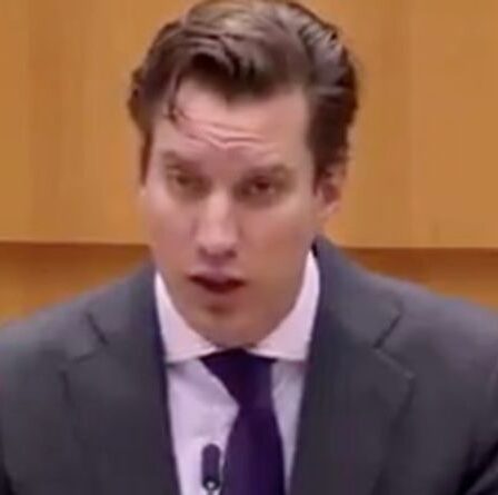 «La démocratie a un goût amer!  Un eurodéputé fait irruption dans l'UE et ordonne au bloc de `` grandir ''