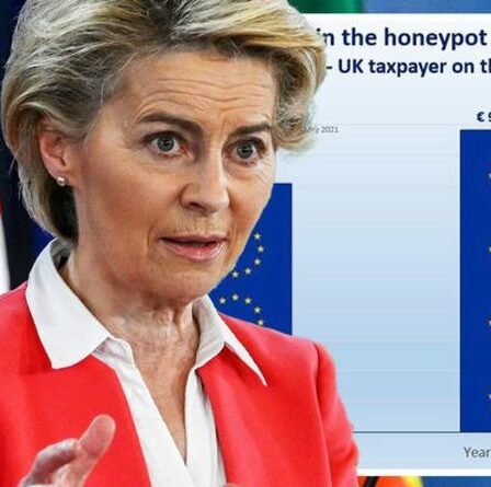 La mainmise du Brexit: le Royaume-Uni `` tenu à rançon '' sur une pension de 85 milliards de livres sterling dans l'UE - et vous paierez pendant 40 ans