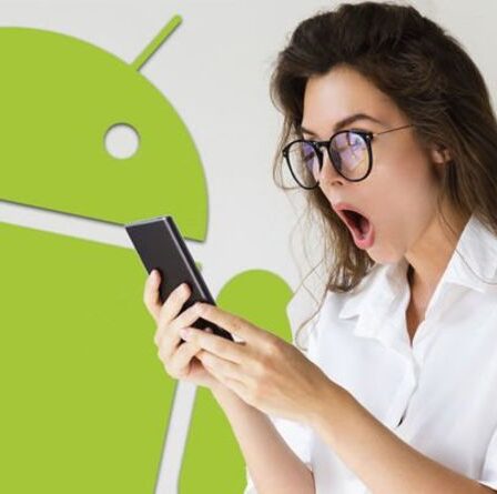 La mise à jour Android 12 a un mode secret dont Google ne nous a pas parlé