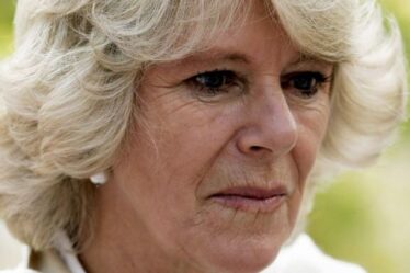 La réponse aigre de Camilla à Diana qui l'a confrontée à propos de l'affaire Charles a `` enragé '' la princesse