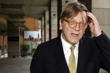 La tentative de Verhofstadt de créer un Royaume-Uni sur Twitter est déchirée: «Les citoyens de l'UE n'ont jamais leur mot à dire!