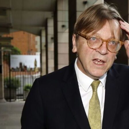 La tentative de Verhofstadt de créer un Royaume-Uni sur Twitter est déchirée: «Les citoyens de l'UE n'ont jamais leur mot à dire!