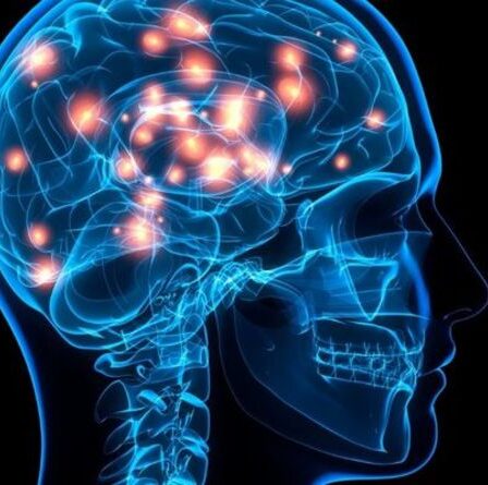 La vie après la mort: l'homme prétend être une `` pensée pure '' dans l'au-delà alors que la conscience a quitté le corps