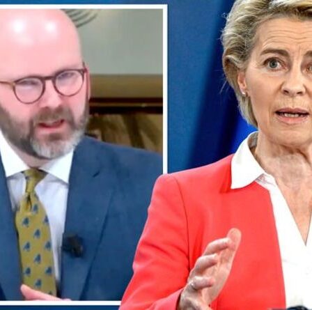 Laissez les gens décider!  Un eurodéputé suédois brise le rang pour exiger un nouveau référendum pour TOUS les membres de l'UE