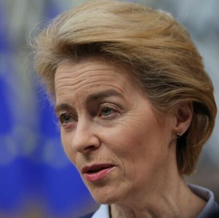 Le Brexit n'était que le début!  Plus de pays devraient suivre le Royaume-Uni hors de l'UE, selon Brexiteer