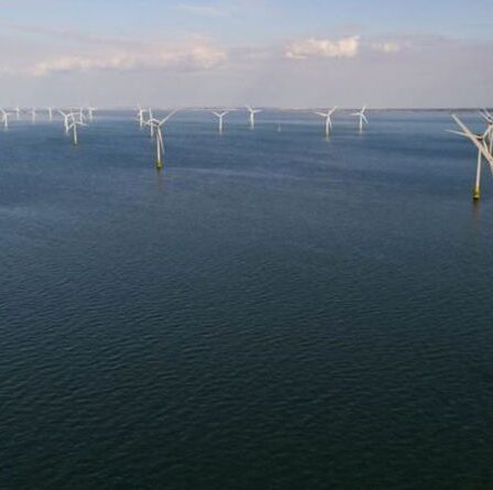 Le Royaume-Uni vise à quadrupler l'éolien offshore d'ici 2030