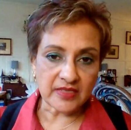 Le `` bouclier protecteur '' de la maison de soins de Matt Hancock revendique la marque `` déchets absolus '' par un expert