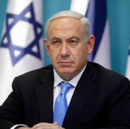 Le cessez-le-feu israélo-palestinien laisse Netanyahu `` plus puissant '' alors que le Hamas souffre `` massivement ''