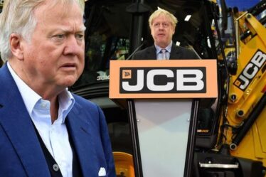 Le chef de JCB refuse de rejoindre le premier groupe commercial du Royaume-Uni, le qualifiant de `` complètement anti-Brexit ''