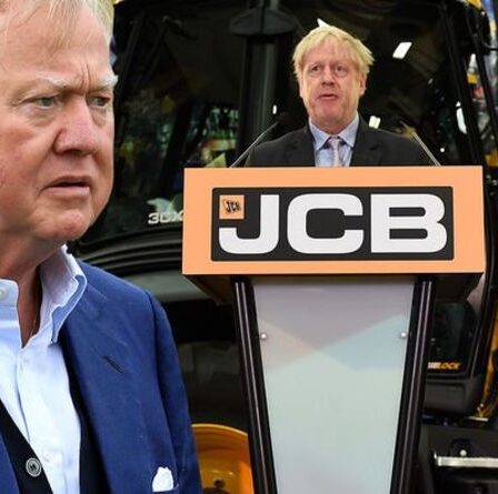 Le chef de JCB refuse de rejoindre le premier groupe commercial du Royaume-Uni, le qualifiant de `` complètement anti-Brexit ''