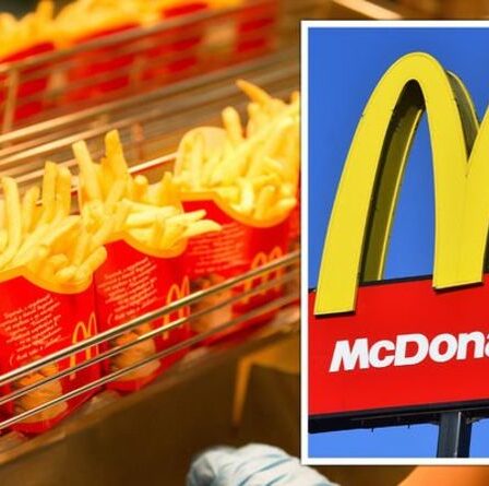 Le client de McDonald's `` obtient toujours des chips fraîches '' avec le hack de commande - `` Fonctionne à chaque fois ''