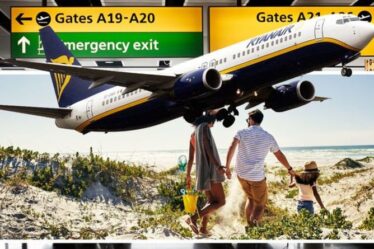 Le patron de Ryanair explique comment obtenir le `` meilleur prix '' pour les vols - `` une éducation pour les clients ''