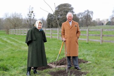 Le prince Charles et la reine plantent un chêne pour lancer une initiative pour marquer le jubilé de platine