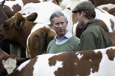 Le prince Charles exhorte les petits agriculteurs à former une `` coopérative mondiale '' pour protéger leurs intérêts